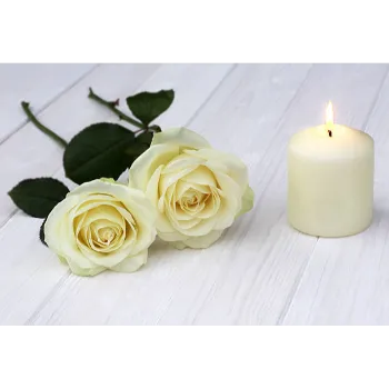 Natural White Rose 